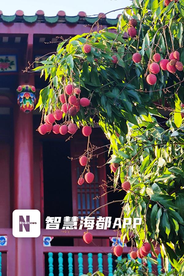 前世测试是男还是女_前世测试免费大全_测试你的前世是什么