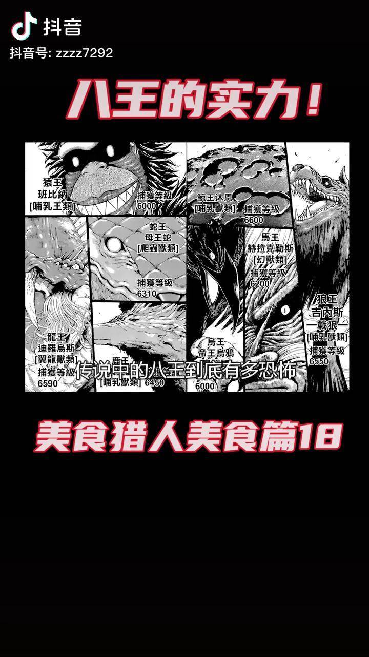 猎人笔记角色分析100字_猎人笔记主角性格介绍_猎人笔记人物形象介绍