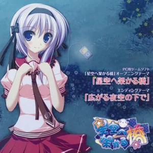 架向星空之桥游戏_架向星空之桥aa游戏_星空桥架动漫