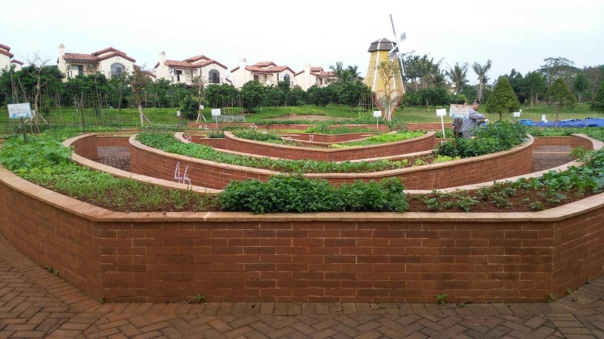 农场种蔬菜赚钱游戏_农场种蔬菜赚钱小游戏_一款农场种菜游戏赚人民币