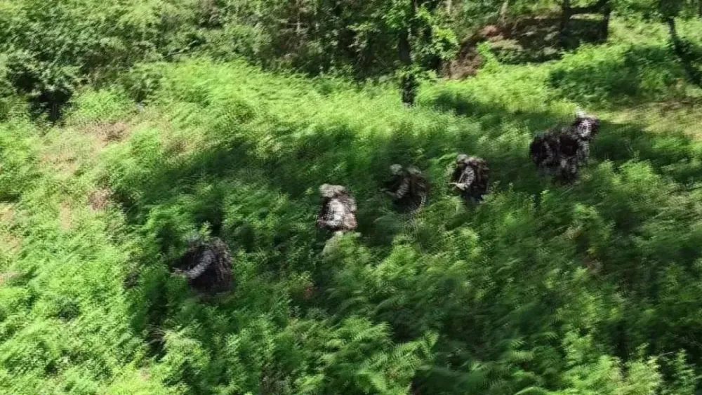 丛林枪战大片_我要搜丛林枪战i_丛林枪战手游