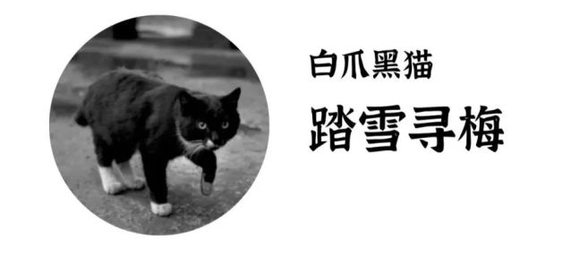 三国杀新武将_新三国杀武将列传攻略_新三国杀武将列传