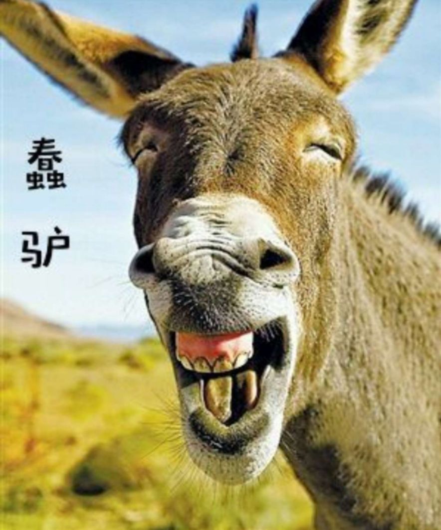 最新整人游戏大全_108种整人的游戏_大全最新整人游戏手机版
