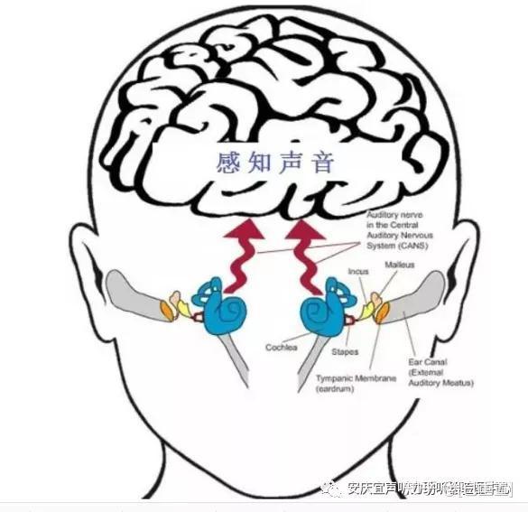 董贞中国好声音没资格_中国好声音如果没有你_游戏有声音没图片