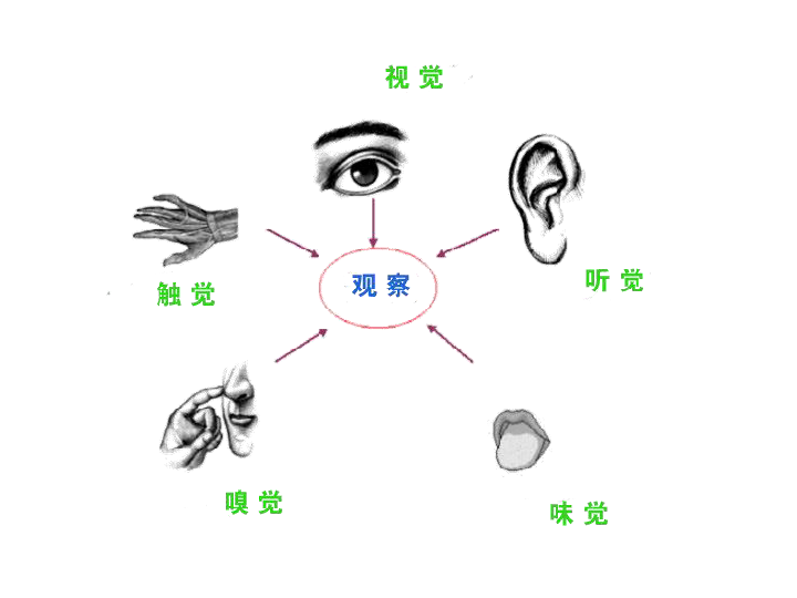 游戏有声音没图片_中国好声音如果没有你_董贞中国好声音没资格