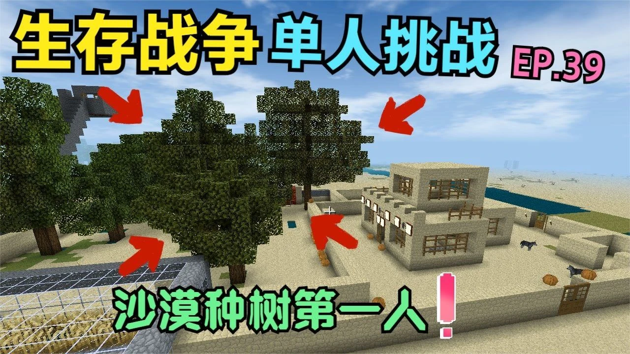CF：虚拟枪战世界评测