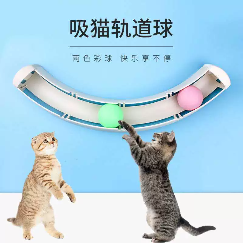 恶猫管教45度防跳_管教恶猫 bili_恶猫管教泡腾片