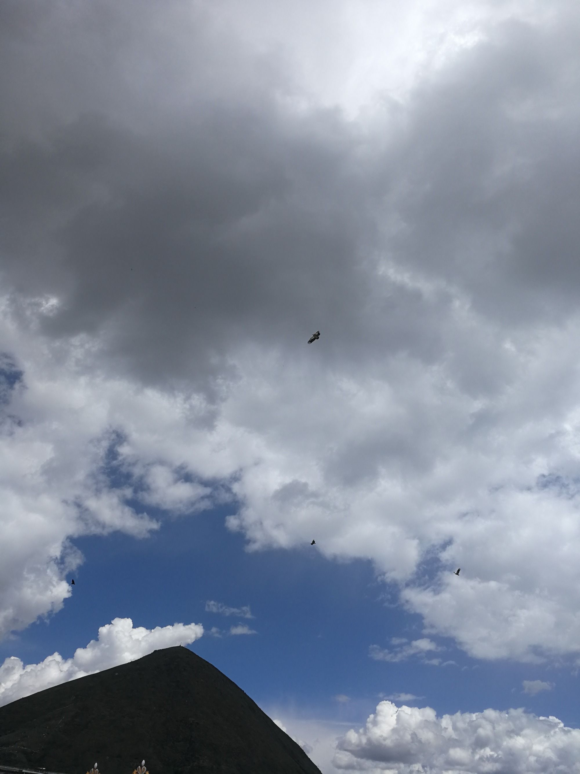 鹰击长空为什么不出了_长空击鹰是什么成语_鹰击长空没有画面