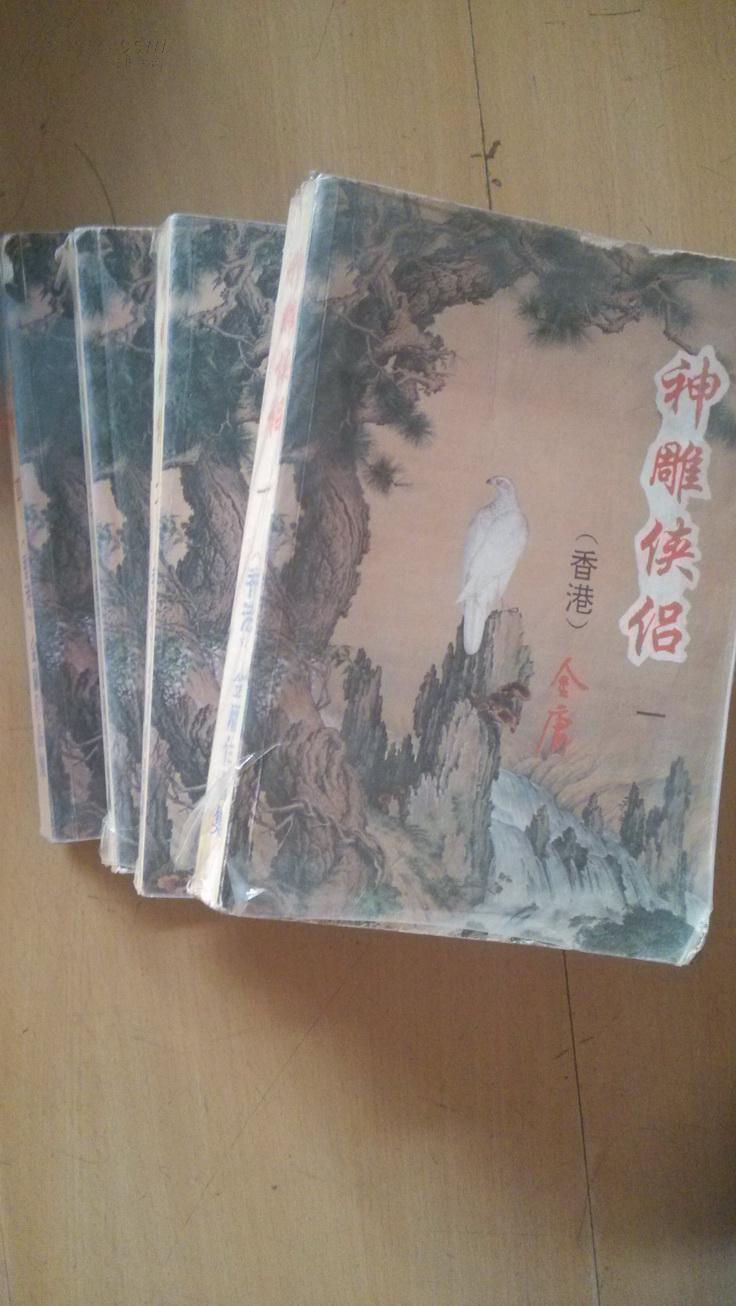 神雕侠侣职业_抗倭侠侣和神雕_神雕外传侠侣异世行