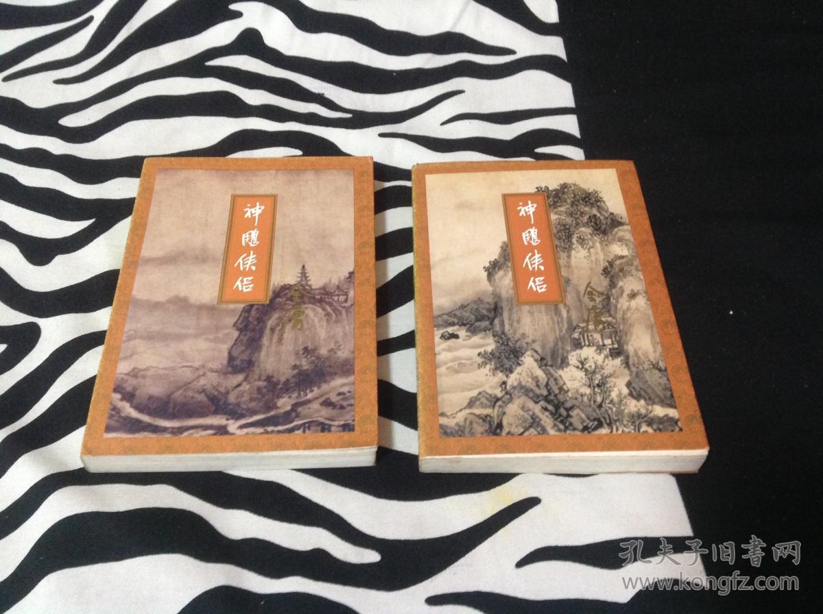 抗倭侠侣和神雕_神雕外传侠侣异世行_神雕侠侣职业