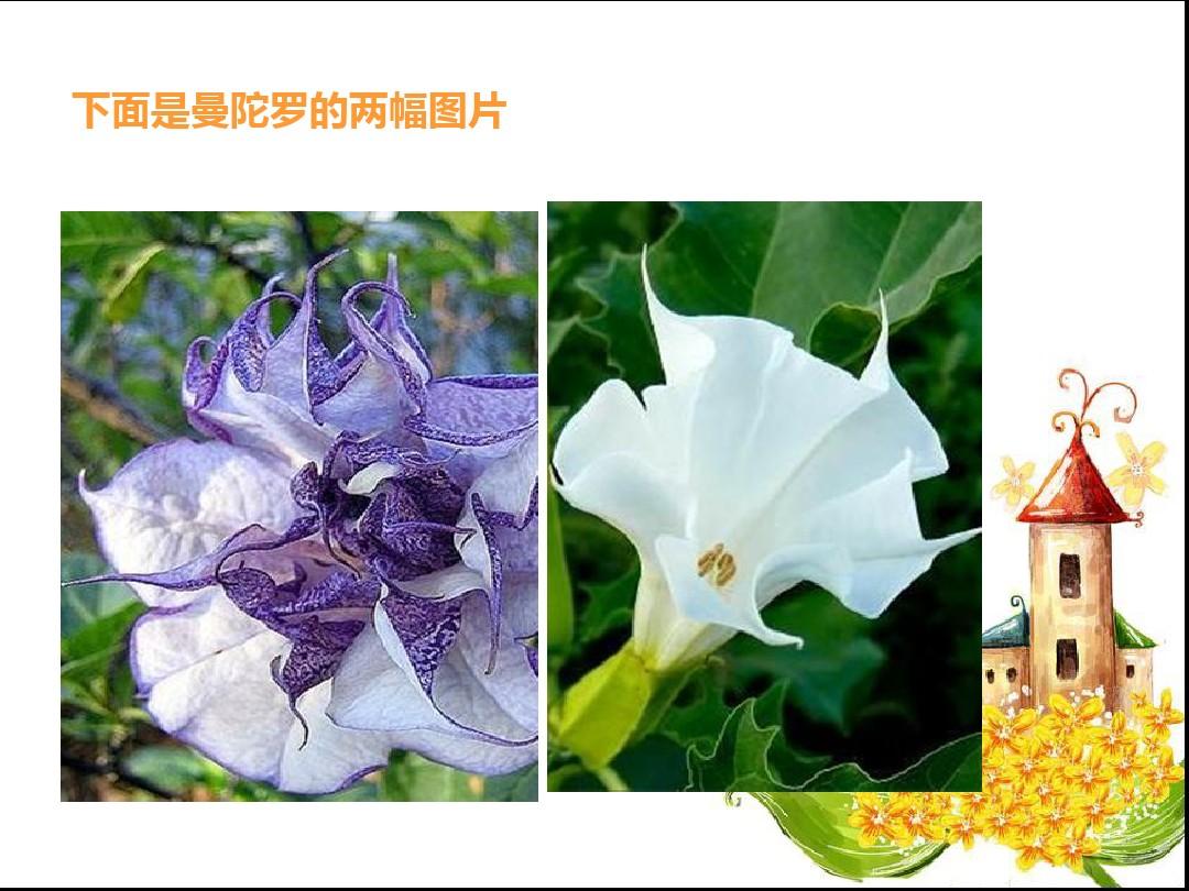 薄暮传说_薄暮传说作战_薄暮传说玩法