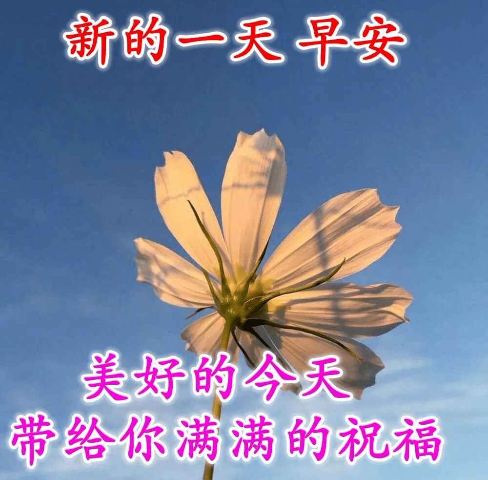 蔡徐坤专属语音包，网络小说作家带你下载