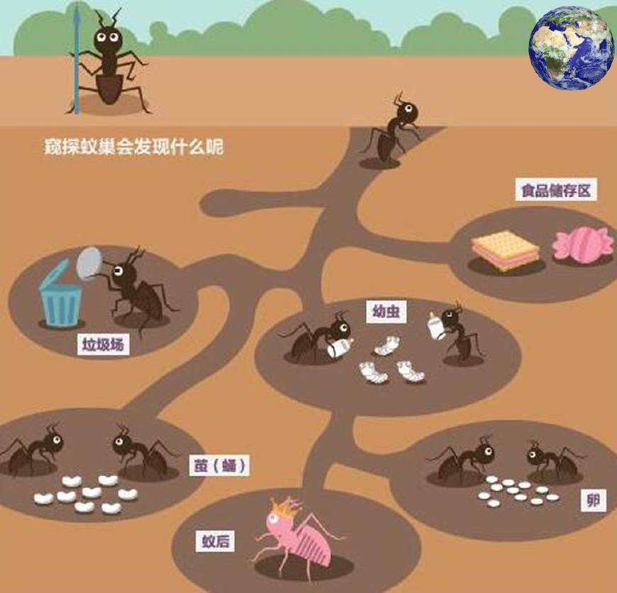 叨鱼_叨嘿_叨怎么读