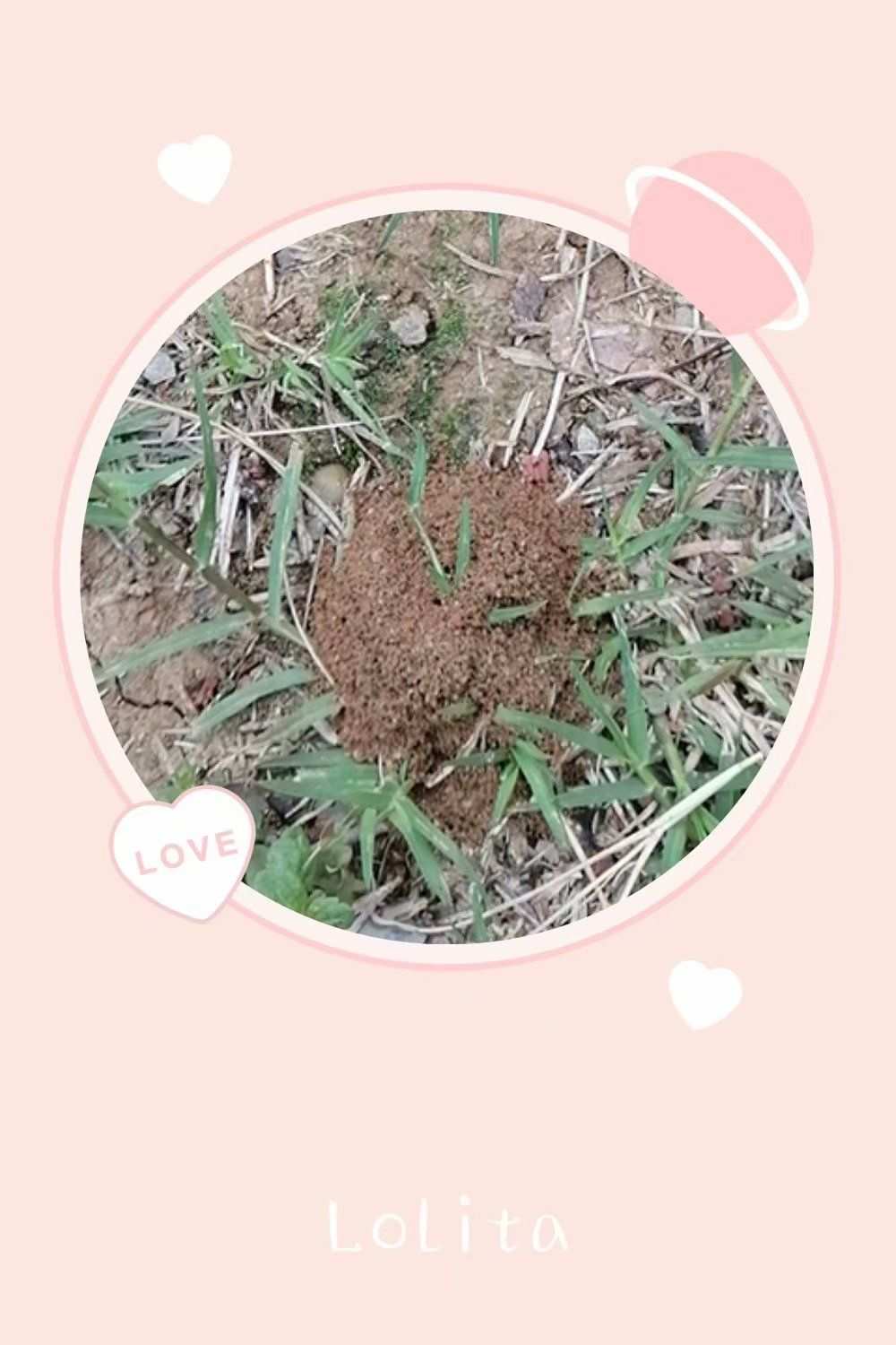 叨嘿_叨鱼_叨怎么读