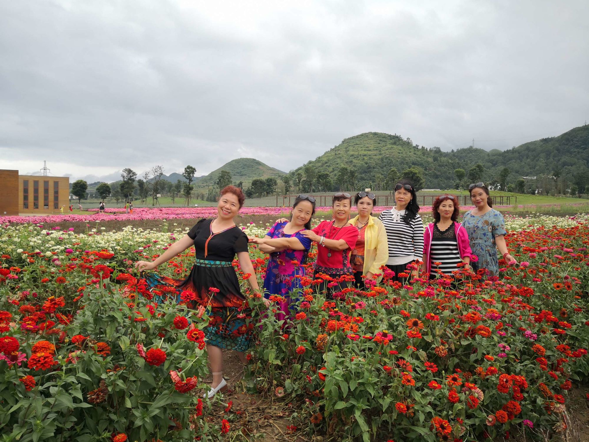 蝶恋花直播_蝶恋花直播_蝶恋花直播