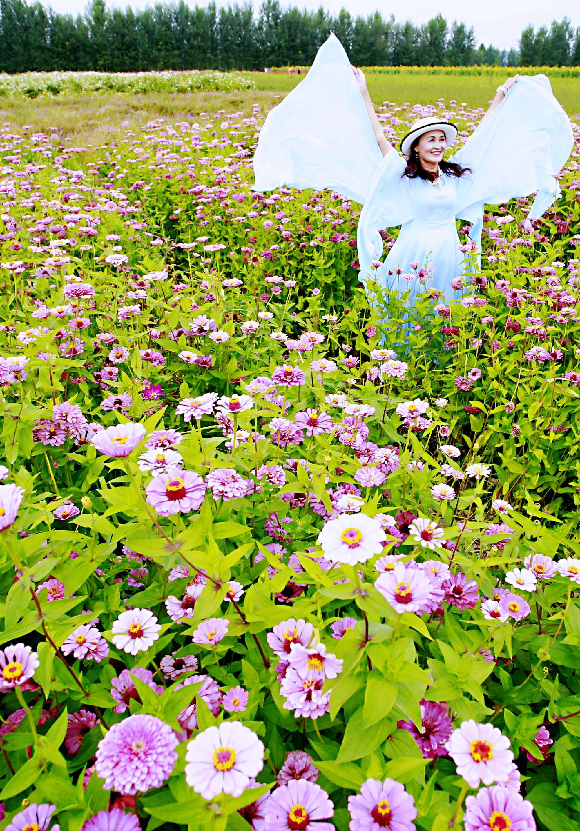 蝶恋花直播_蝶恋花直播_蝶恋花直播
