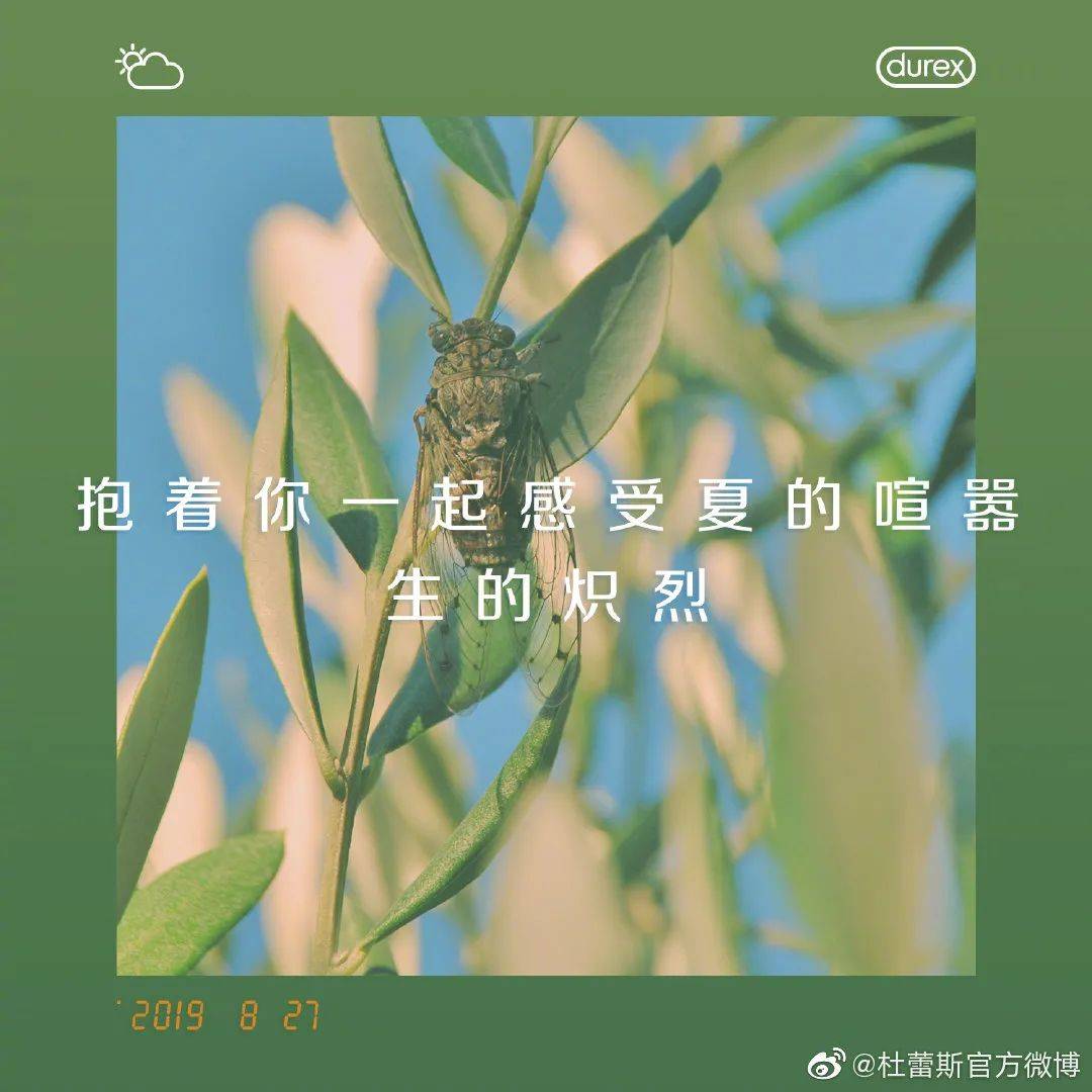 无声铃鹿生平_无声铃鹿原型图片_无声铃鹿