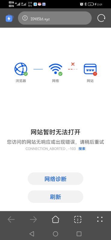 不限制网站的手机浏览器_手机限制网页浏览_浏览器限制网站手机怎么解除
