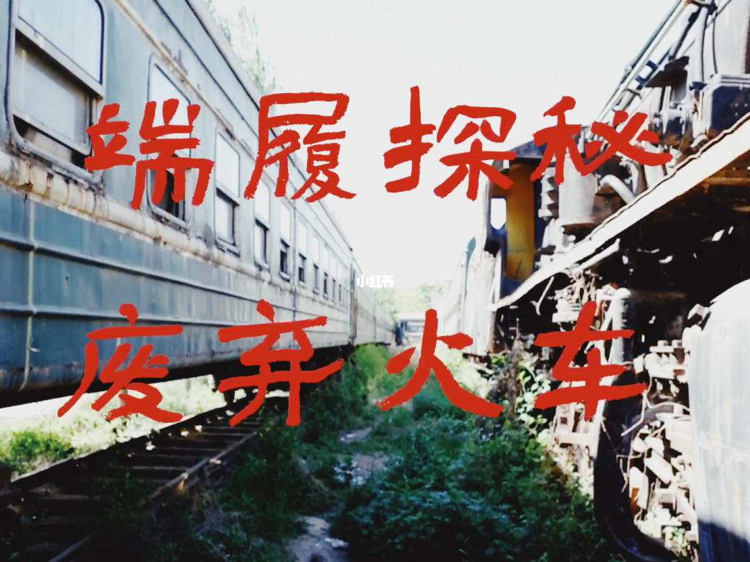 逃出死亡列车_逃离火车事故_列车逃亡电影