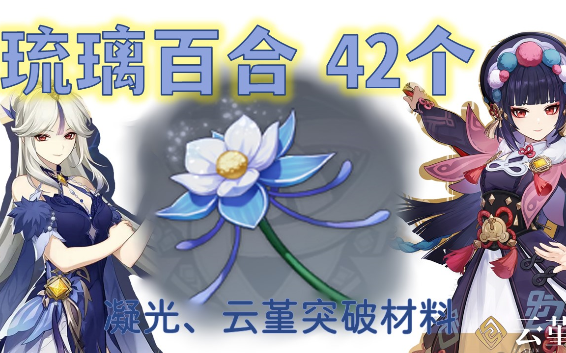 百合琉璃采集点位置_琉璃百合采集点_琉璃百合在哪采