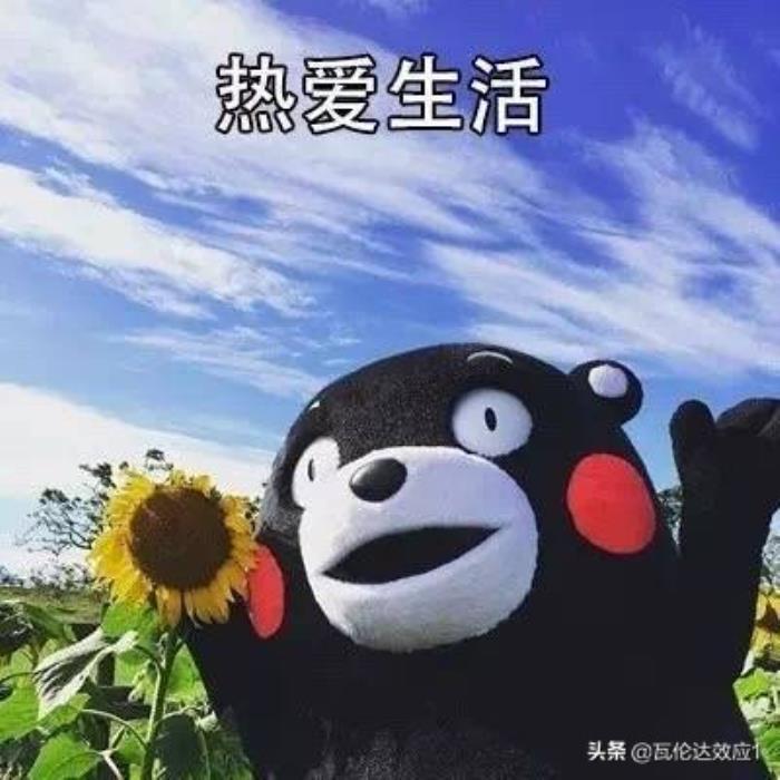 遗忘名词_遗忘之名_遗忘名字