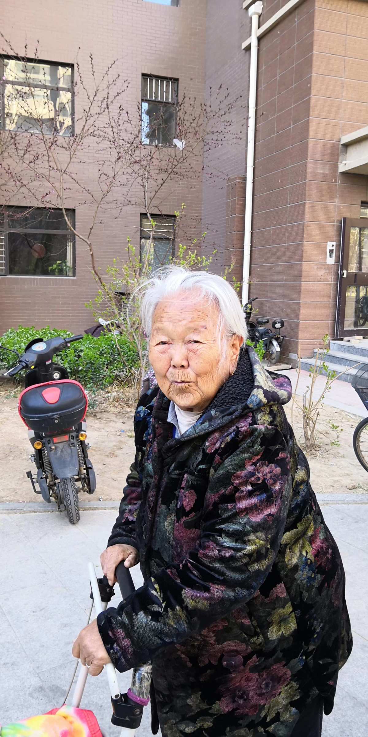 你好邻居完整版_邻居们你好_邻居你好下载