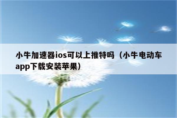 加速器ins免费下载苹果_加速器ios免费下载ins_苹果加速器免费版ins