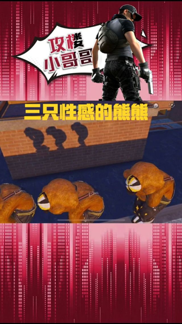 跳舞熊dancing_会跳舞的熊_跳舞熊叫什么