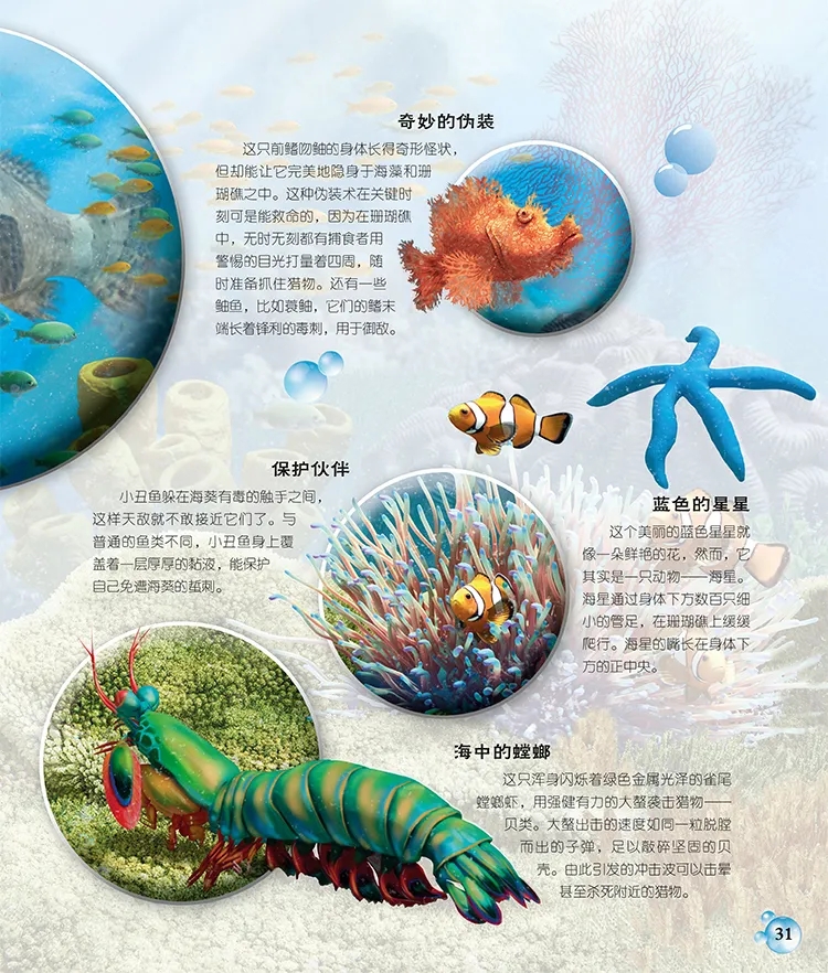 海洋传说_海洋传说介绍页_海洋传说mod
