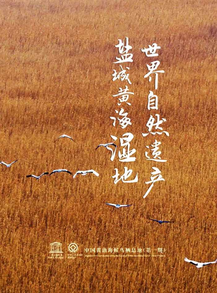 我的盐城_盐城是哪个省的城市_盐城师范