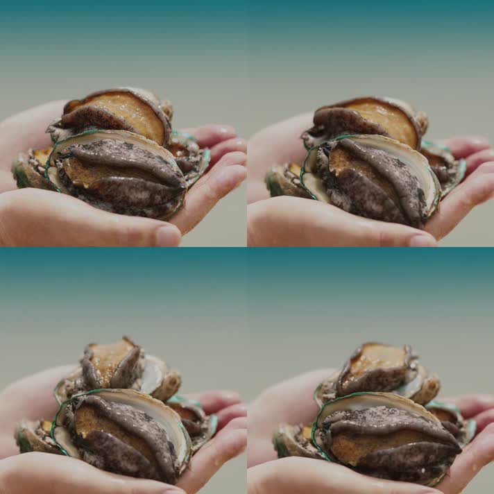 鲍鱼tv在线_鲍鱼tv在线_鲍鱼tv在线