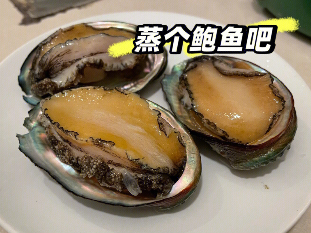 鲍鱼tv在线_鲍鱼tv在线_鲍鱼tv在线