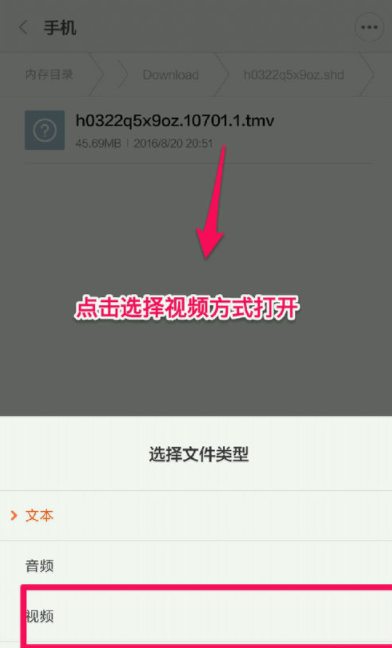 UP主的哔哩哔哩视频，下载地址在哪？