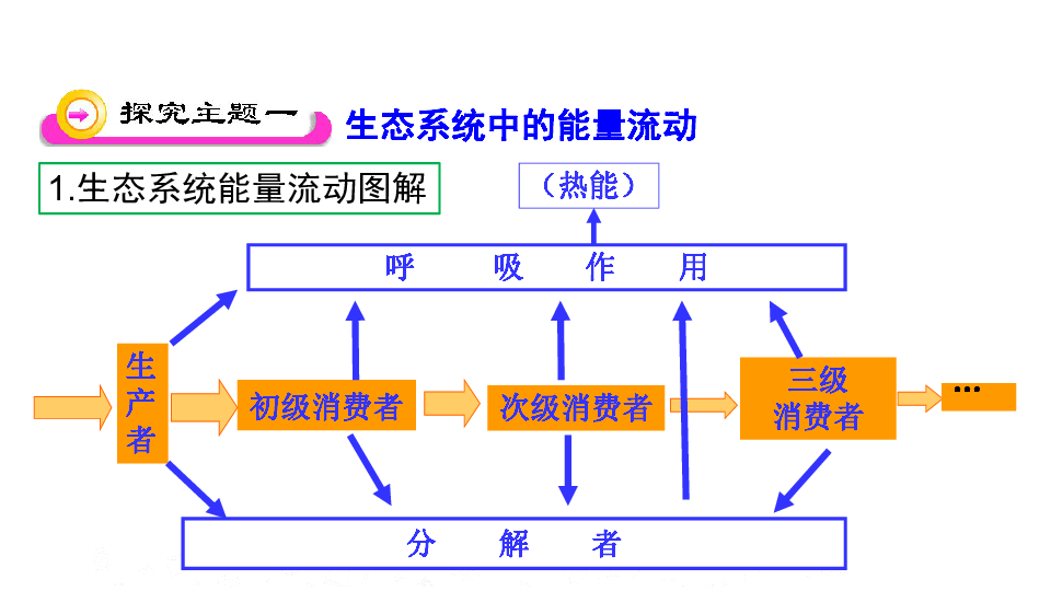 经脉模拟器_经脉模拟器_经脉模拟器