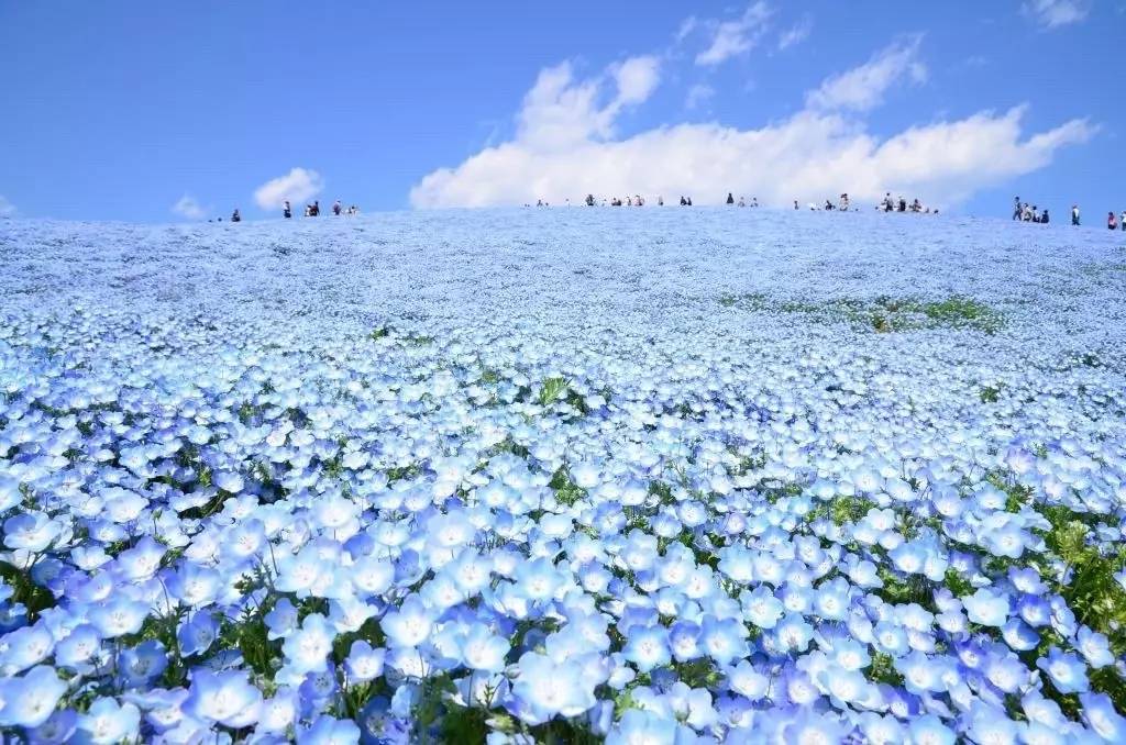 天使之谷续章_天使之谷续章_天使之谷续章