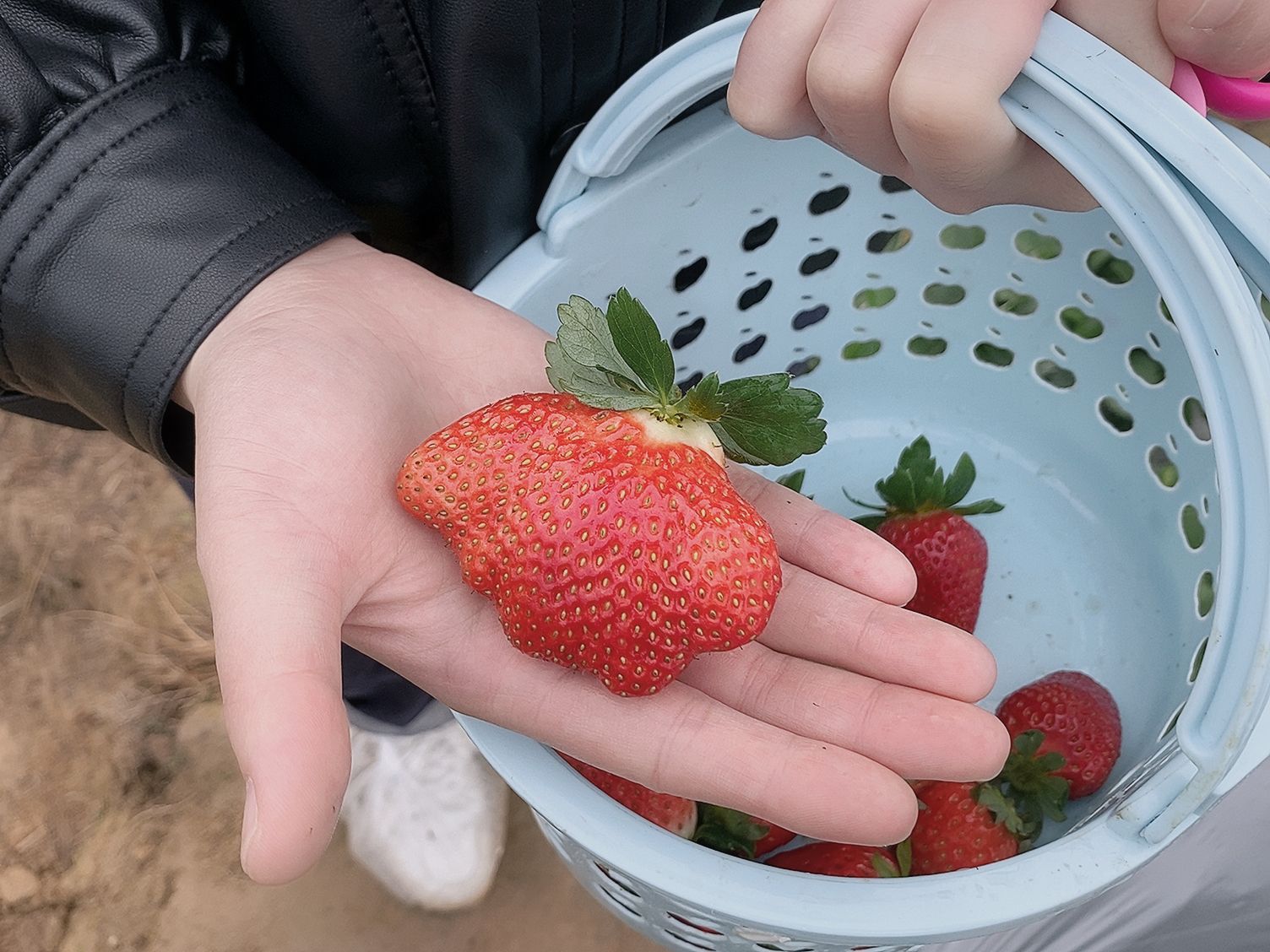 草莓视频app导航_草莓视频app导航_草莓视频app导航