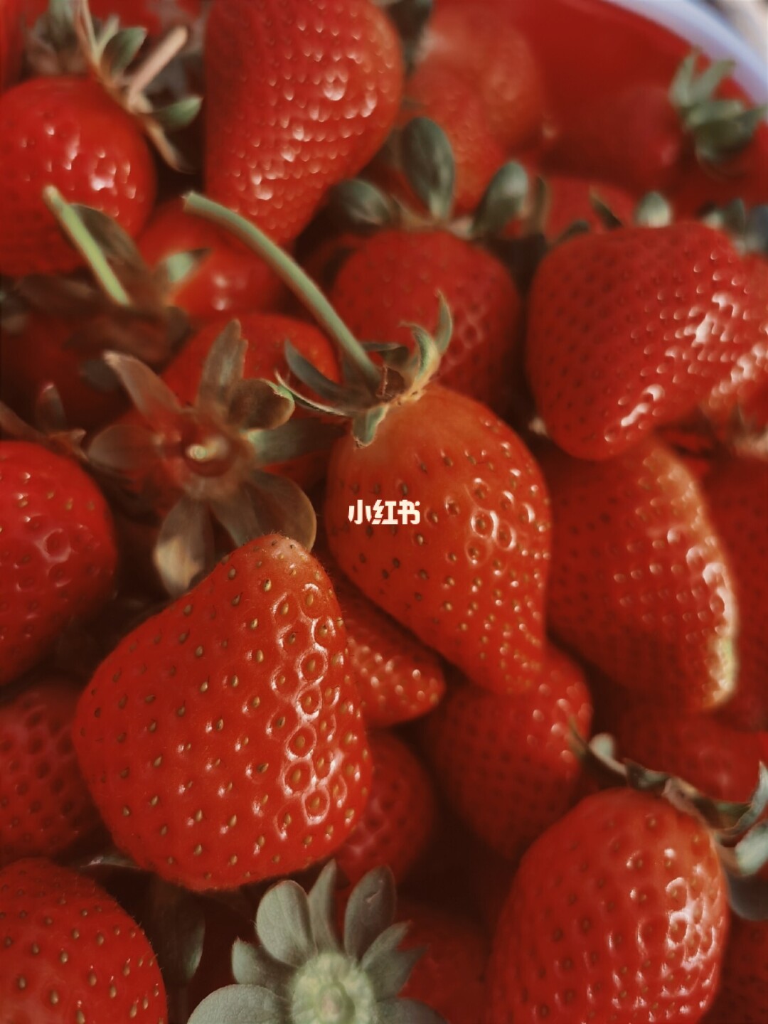 草莓视频app导航_草莓视频app导航_草莓视频app导航