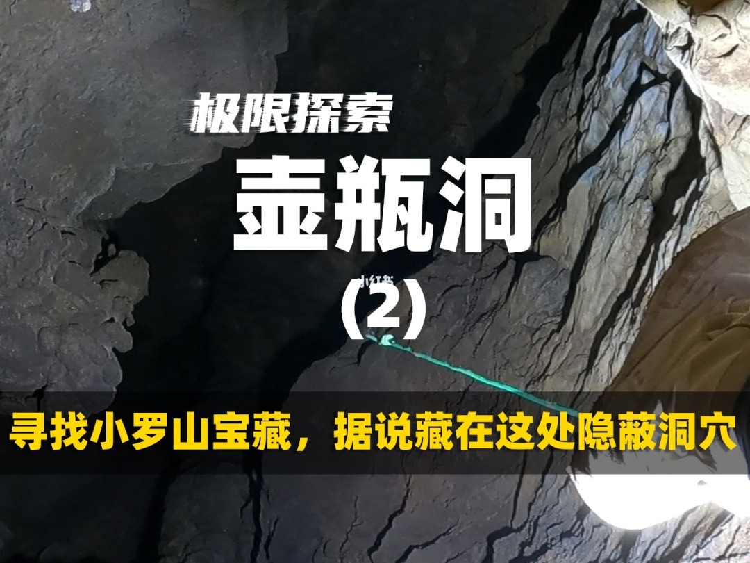 蜀山流浪的蛤蟆_蜀山流浪的蛤蟆_蜀山流浪的蛤蟆