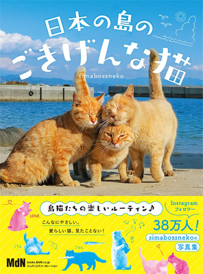 猫的品种_猫和老鼠_猫九
