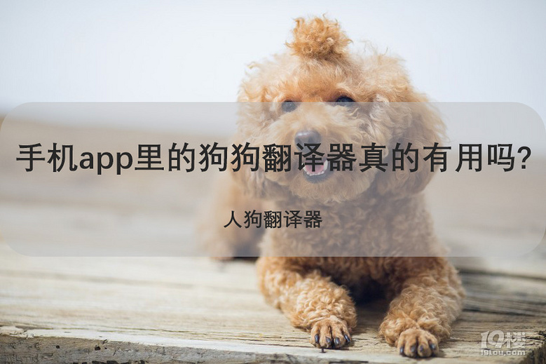 人狗翻译器_狗翻译器软件下载_在线人狗翻译