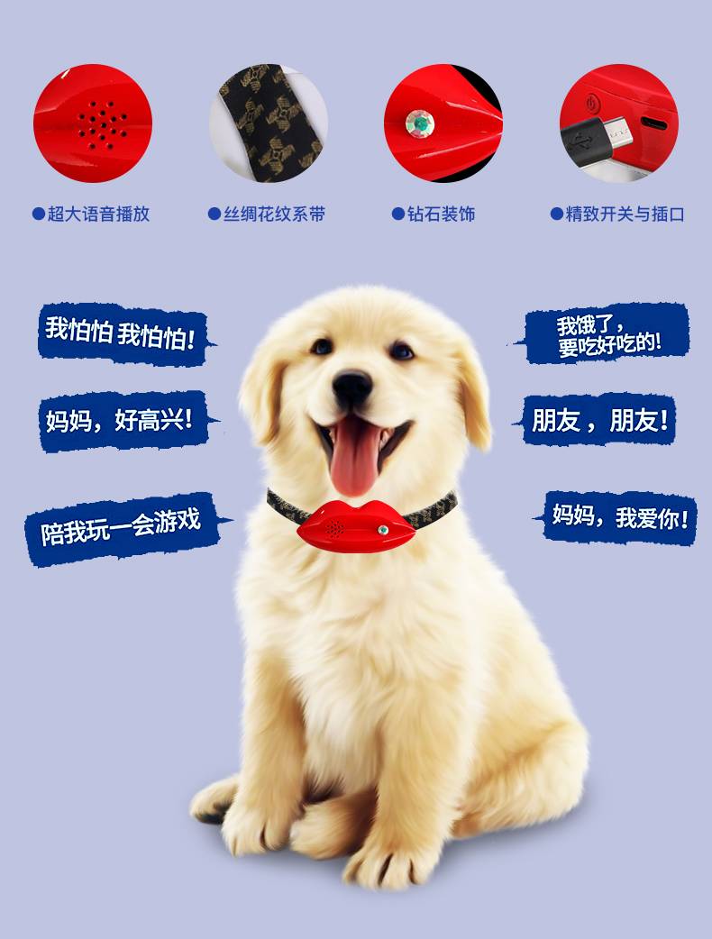 人狗翻译器_在线人狗翻译_狗翻译器软件下载