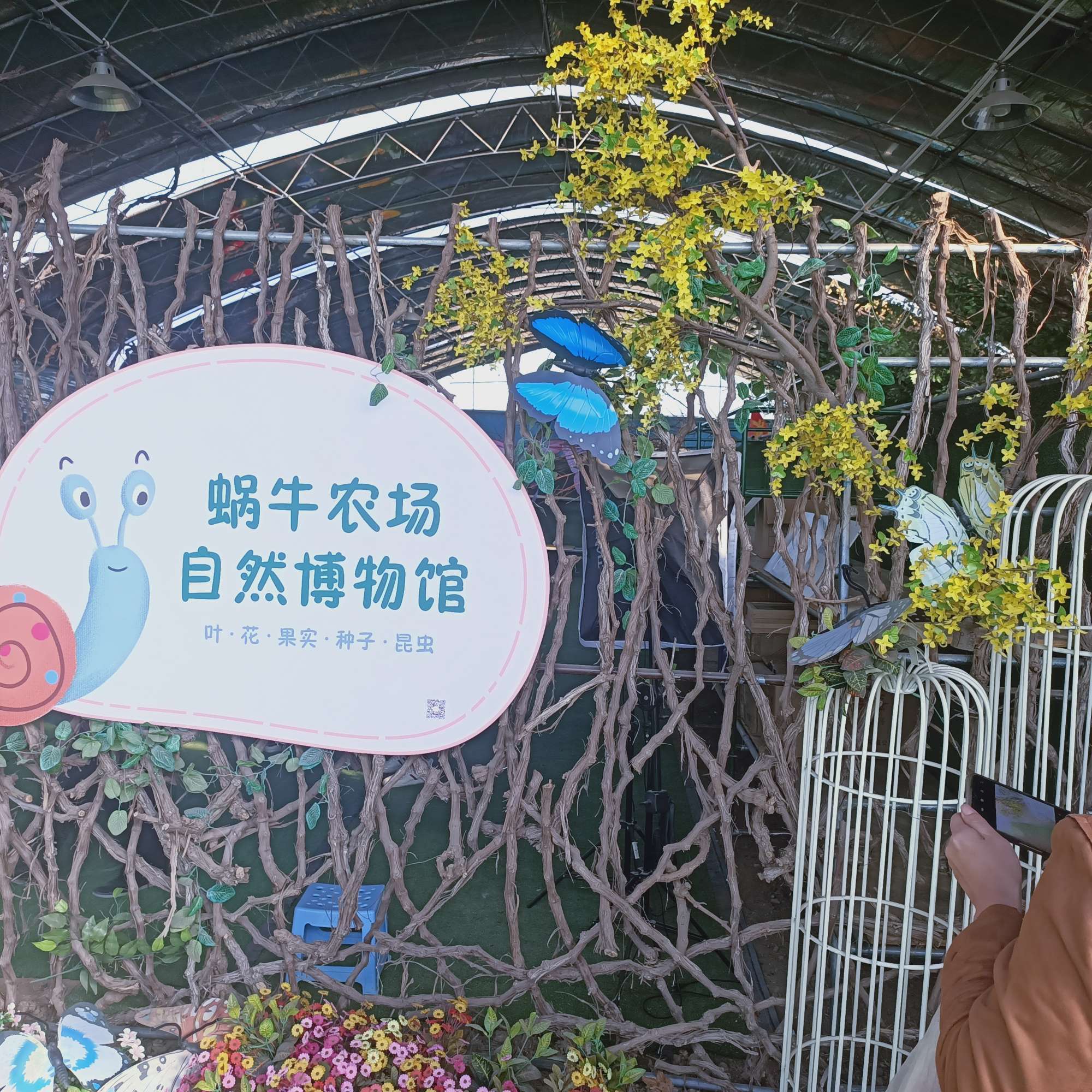 蜗牛集市app下载_蜗牛集市_蜗牛集市手机版