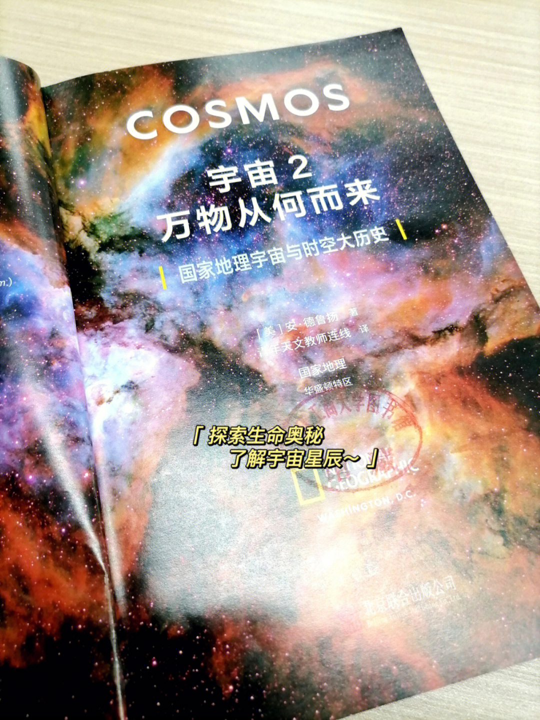 弹星者形态_弹星者_弹星者英语