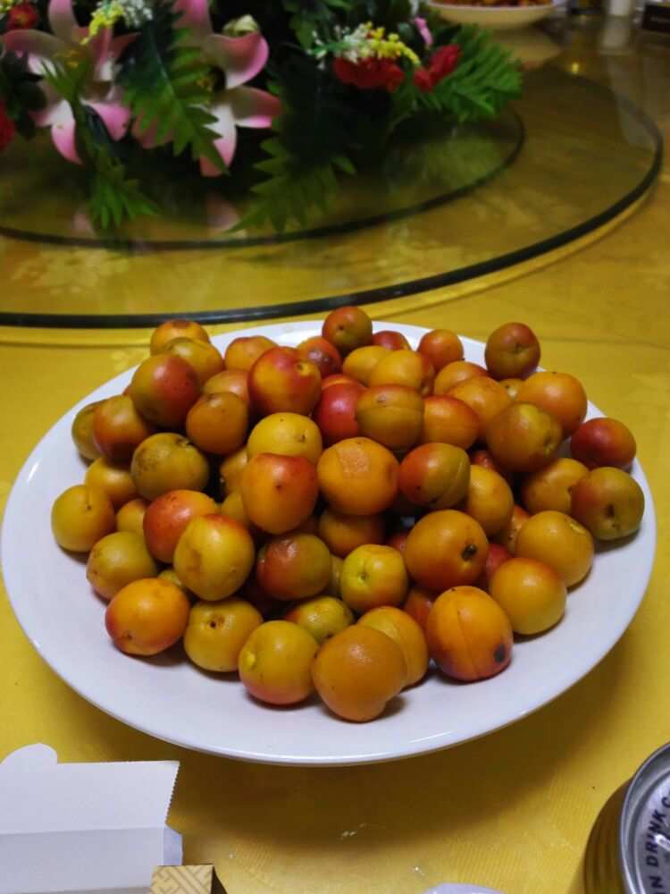 杏吧pro_杏吧pro_杏吧pro