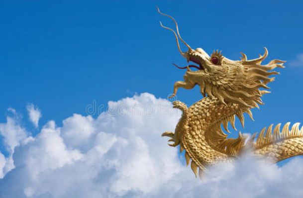 浮龙_红色法力浮龙宝宝_灵翼浮龙