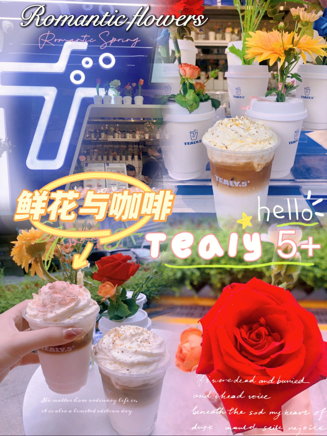 邂逅命运中的完美奇遇