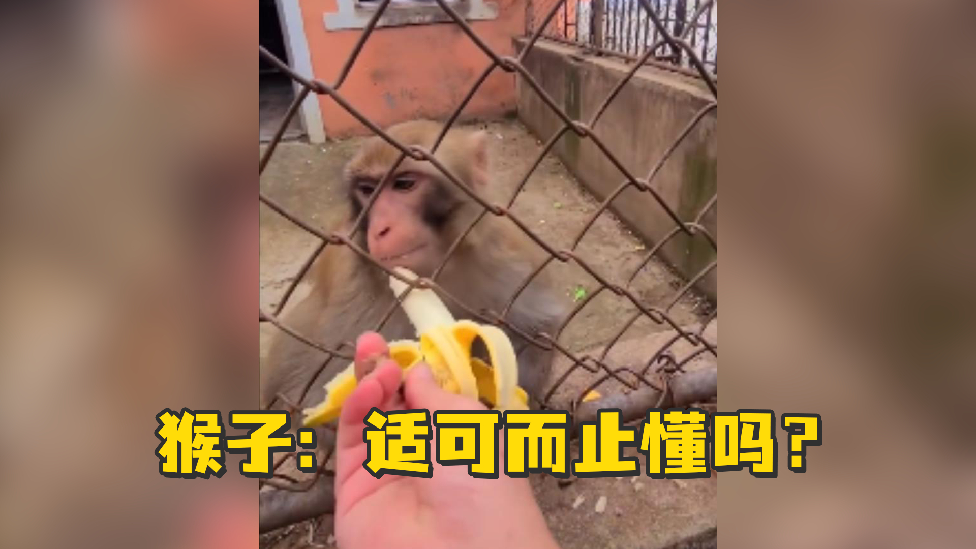 搞笑手机号码顺口溜_搞笑解说游戏推荐手机号_搞笑的手机号