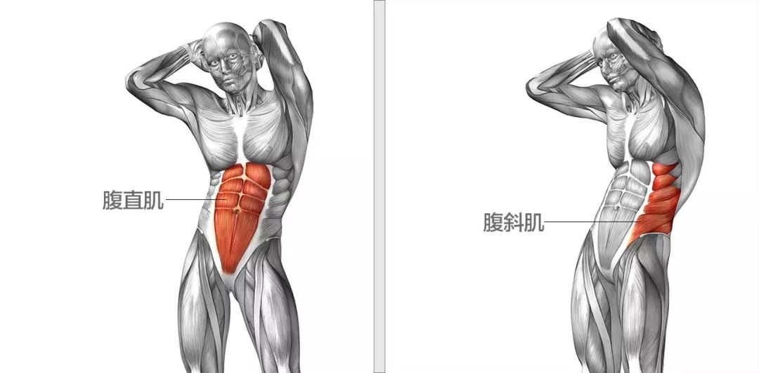 肌肉男变身模拟器_视频变身肌肉男手机游戏大全_变身肌肉男手机游戏视频