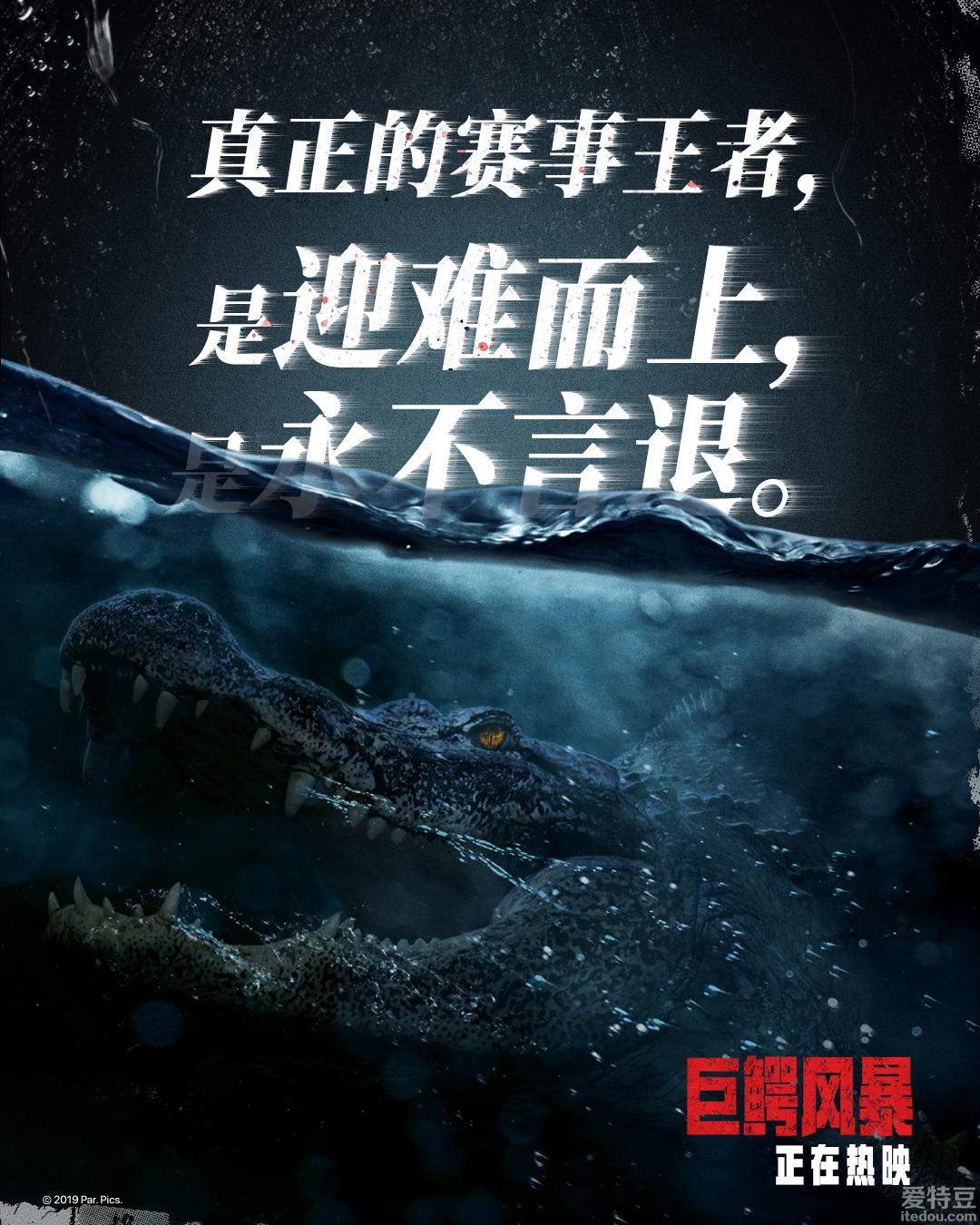 风暴巨鳄就2个演员了吗_风暴巨鳄蚁_巨鳄风暴