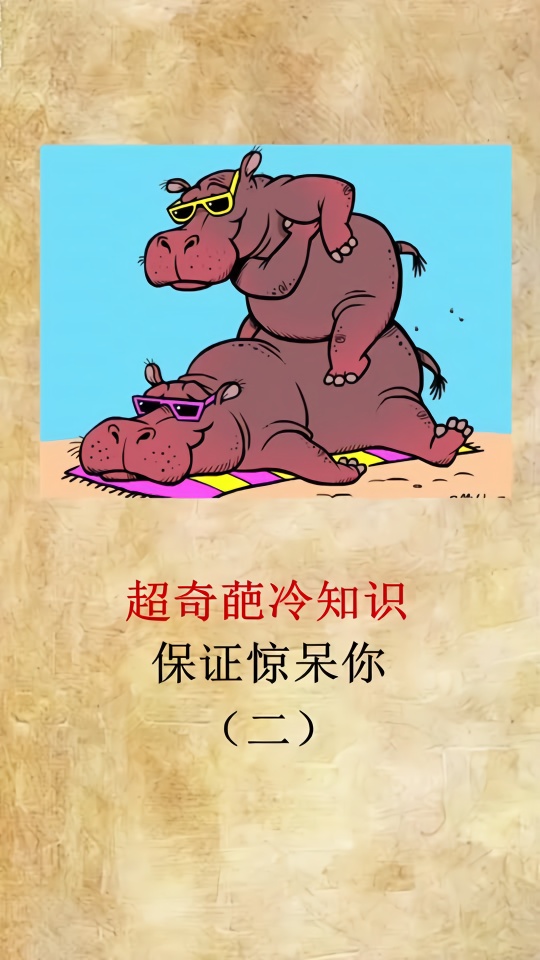 壮组词_二壮_二壮